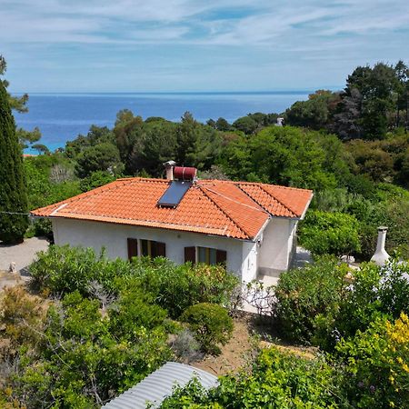 Casa Panoramica Bouganville SantʼAndrea المظهر الخارجي الصورة