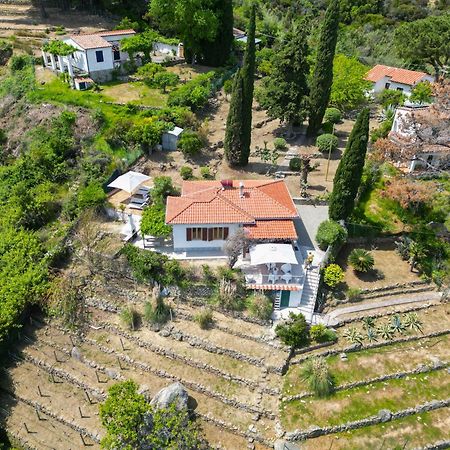 Casa Panoramica Bouganville SantʼAndrea المظهر الخارجي الصورة