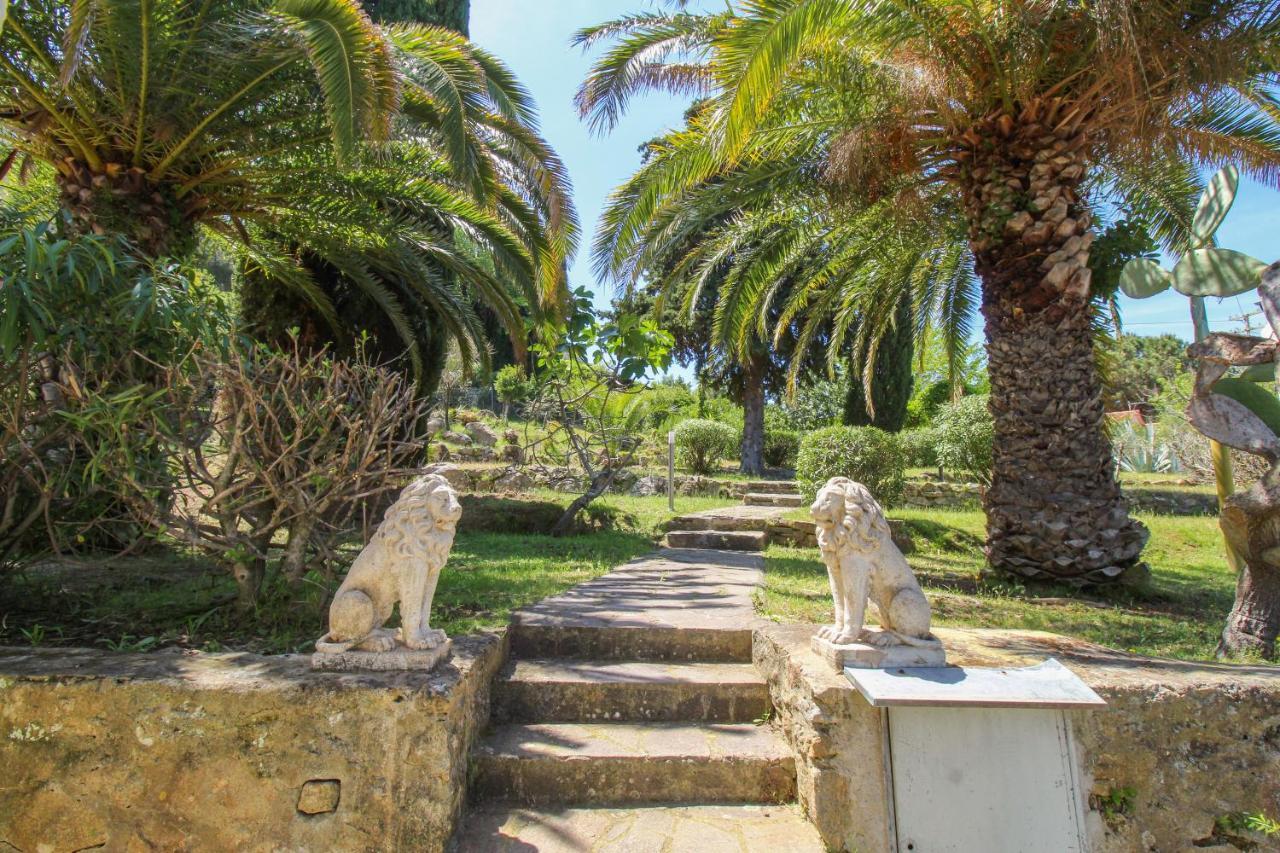 Casa Panoramica Bouganville SantʼAndrea المظهر الخارجي الصورة