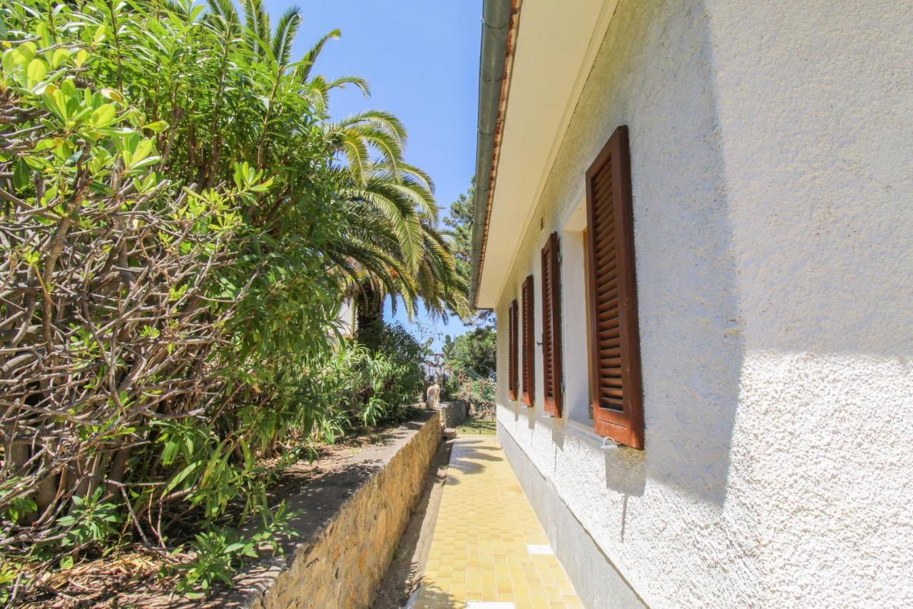 Casa Panoramica Bouganville SantʼAndrea المظهر الخارجي الصورة