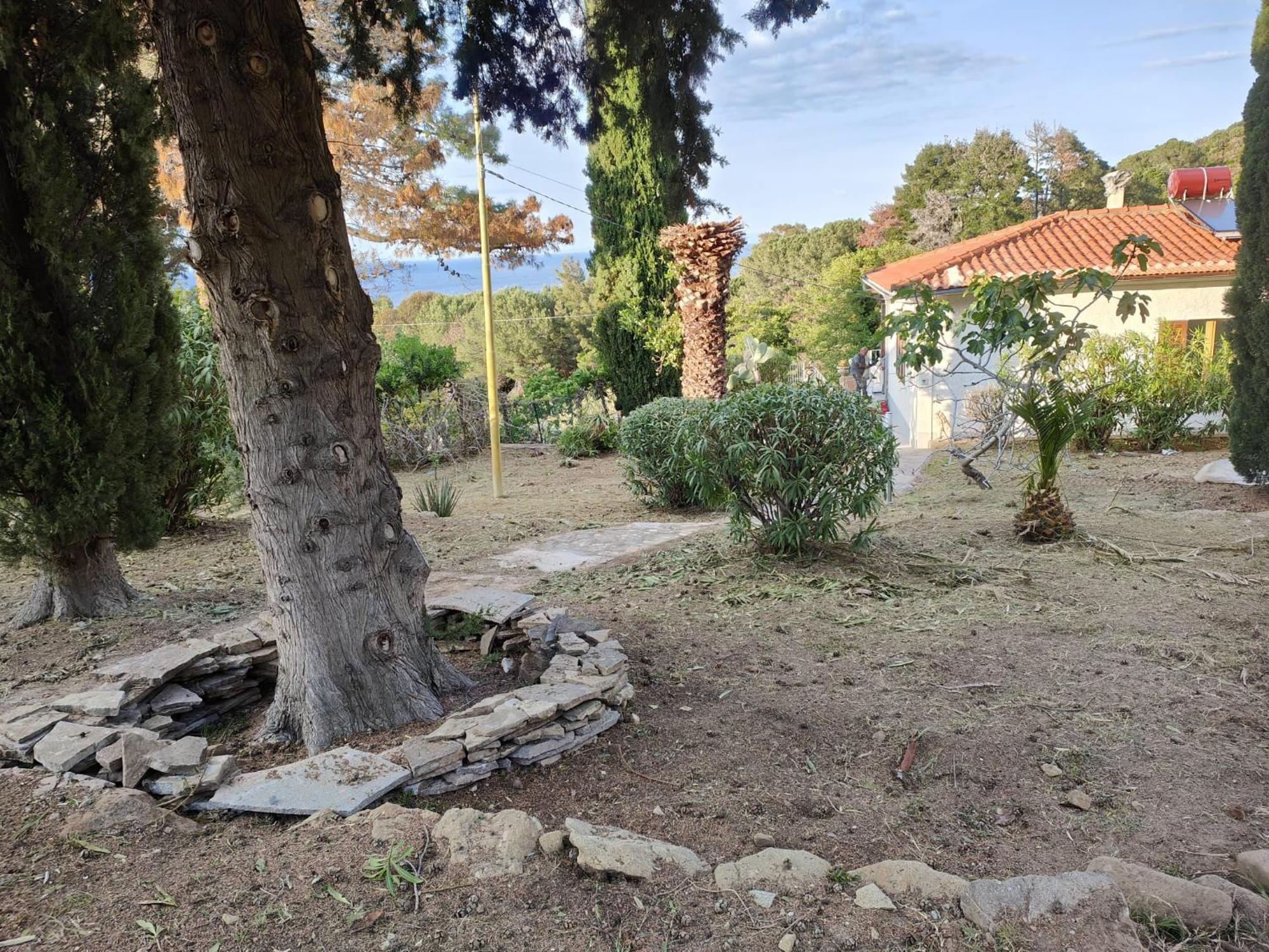 Casa Panoramica Bouganville SantʼAndrea المظهر الخارجي الصورة