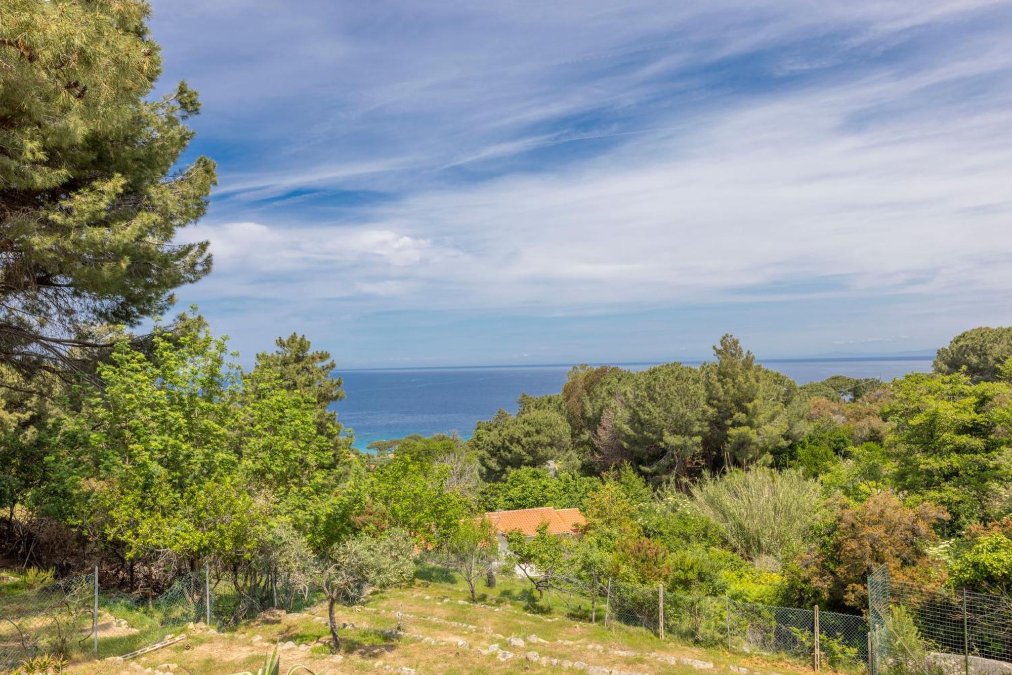 Casa Panoramica Bouganville SantʼAndrea المظهر الخارجي الصورة